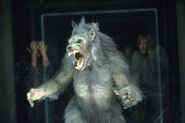 Werewolf (Cabin in the woods)