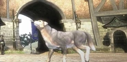 The Hero's Dog (Fable II/III) seemingly never ages.