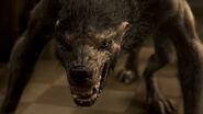 Josh Levison's (Being Human) werewolf transformation.