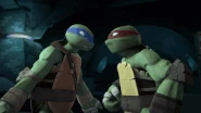 Due to his training in Ninjutsu, Leonardo (Teenage Mutant Ninja Turtles 2012 TV Series) has knowledge and skills at using Pressure Point strikes to take down his opponents like subduing his brother Raphael to get him under control when he argues with him...