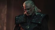 Vesemir (The Witcher) the eldest Witcher.