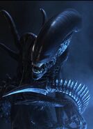 Xenomorph.jpg (73 KB) A Xenomorph's blood (Aliens/Aliens vs. Predator) is a potent molecular acid.