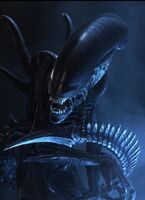 Xenomorphs (Alien franchise)