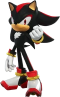 TSR Shadow.png (562 KB) Shadow the Hedgehog (Sonic the Hedgehog) is the ultimate success of Project Shadow, utilizing the infinite Chaos energy onto a life-form to create an immortal, which he can also harness for various powerful effects, and he is completely unlike the flawed prototype Biolizard.