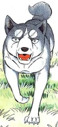 Gin (Ginga)