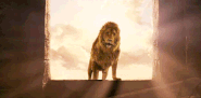 Aslan (The Chronicles of Narnia), the king of the magical land Narnia.