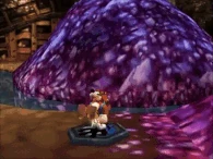 Turbo Trainers Water.gif (3.33 MB) The Turbo Trainers (Banjo-Kazooie series) make Kazooie fast enough to run on water.