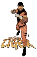With skills rivaling that of Lady Shiva and Richard Dragon, Ben Turner/Bronze Tiger (DC Comics) is one of the top five and greatest martial artists in the world.