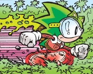 ...Eco Sonic in the Great Rainforest...