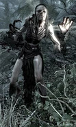 Hagravens (Skyrim) are part hag and part bird.