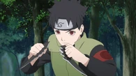 Mirai Sarutobi (Naruto)