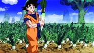 While he dislikes the job, Son Goku (Dragon Ball) is nonetheless competent at farmwork, making entire fields of sizable radish crops.