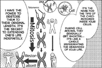 Tomiko's Telomere Regeneration