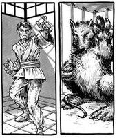 Yoshi.jpg (31 KB) Prior to his mutation, Master Splinter (Teenage Mutant Ninja Turtles) was able to learn Ninjutsu by mimicking his master Yoshi's movements while he practiced.