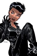 Selina Kyle/Catwoman (DC) wears clawed gloves and is skilled with them.