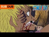 One Punch Pirate