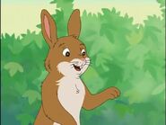 Rabbit (Franklin), an anthropomorphic rabbit.