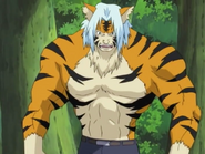 Mizuki's Tiger Transformation