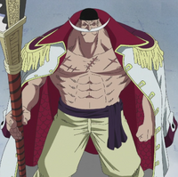 Feared as the Strongest Man in the World, Edward Newgate/Whitebeard (One Piece) was nonetheless able to match Sengoku in tactical prowess.