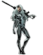 Silver Sable.jpg (39 KB) Silver Sable (Marvel Comics) is the leader of the Wild Pack, a team of mercenaries and spies. She is an expert in martial arts, weapons and tactical strategy, often carrying out covert missions and intelligence gathering for her clients.
