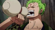 Beside Nami, Roronoa Zoro (One Piece) is the other resident heavy drinker of the Straw Hat Pirates as he can drink and consume massive amounts of alcohol without getting drunk.