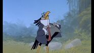 Secretary Bird (Bedknobs and Broomsticks), an anthropomorphic secretarybird.