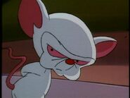 The Brain (Pinky and the Brain) is a lab mice who got his genes spliced giving him enhanced intelligence.