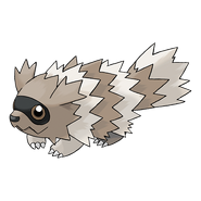 Zigzagoon (Pokémon) the tiny Racoon Pokémon.