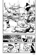 Diamond (Pokemon Adventures) is an extremely talented chef