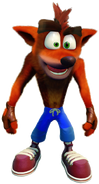 Crash Bandicoot (Crash Bandicoot), an anthropomorphic bandicoot.