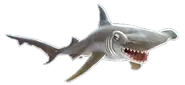 Hammerhead Shark.webp (36 KB) Hammerhead Shark (Hungry Shark Evolution) evolves into...
