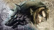 Link (The Legend of Zelda: Twilight Princess) is turned into a wolf by the Twilight realm and thanks to the Shadow Crystal can change freely between forms.