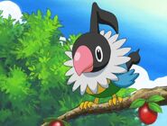 Chatot (Pokemon)