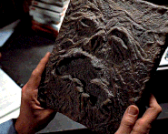 Necronomicon Ex-Mortis (Evil Dead/Ash vs the Evil Dead); contains a full list of demons that can be summoned to controlled to a degree depending on who has the book.