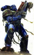 Space Marines (Warhammer 40,000) have a second heart, third lung, third kidney and second stomach.