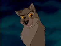 Balto (Balto franchise), a wolfdog.