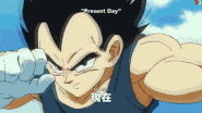 Vegeta matches Goku.gif (4.35 MB) Vegeta (Dragon Ball) being a warrior since childhood is master of his own effective Saiyan martial arts style.