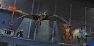 The Bat Gremlin (Gremlins 2: The New Batch) was rendered able to walk around in daylight after being modified with genetic sunblock.