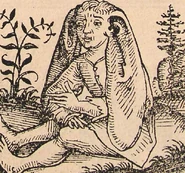 Panotti (Greek Mythology)