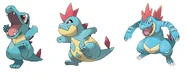 Totodile, Croconaw, & Feraligatr (Pokémon)