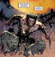 Wolverine (Leader of the Pack).jpg (71 KB) ...his animalistic side making him very feral and empathic to other predatory animals such as wolves...