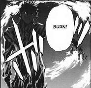 Kuchiba's Combustion.jpg (88 KB) Aoi Kuchiba (The Qwaser of Stigmata) was cursed with her twin brother, Yū's personality when he accidentally killed him.