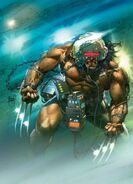 Wolverine WeaponX 01 KubertCover