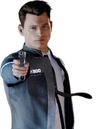 Connor DBH