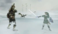 The Hero's Shade (The Legend of Zelda: Twilight Princess) training Link in advanced sword combat.