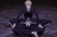 Ichigo Kurosaki (Bleach) performing Sword Zen to communicate with his inner self...