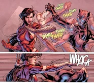 Unarmed Combat by Lady Shvia.jpg (1.09 MB) Lady Shiva (DC Comics) is the greatest martial artist on Earth. She's skilled in Kung Fu, Judo, Capoeira, Kokusho, Savate, Karate, & Stick Fighting.