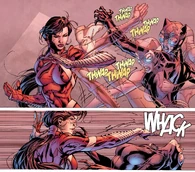 Sandra Woosan/Lady Shiva (DC Comics)