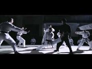 Ip Man Wing Chun Against 10 Karate Black Belts