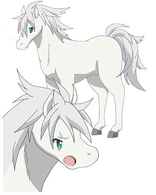 Shirohime LNM.jpg (21 KB) Shirohime (Lance N' Masques) appears to be a normal horse most of the time, though others will sometimes see her as a normal human girl, a horse-girl, a child, or even a horse with some human-like features.